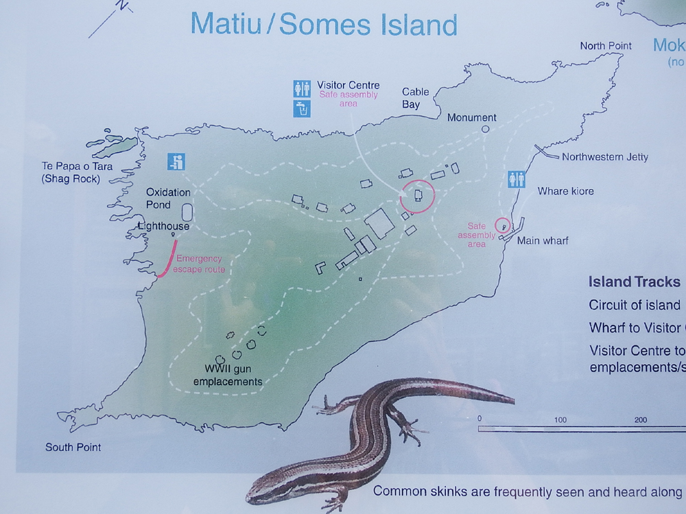 Matiu Somes Island